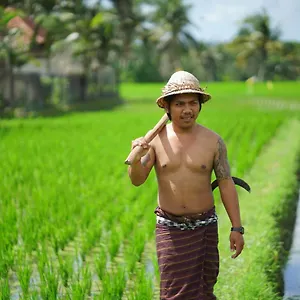 Mandi & Hotel