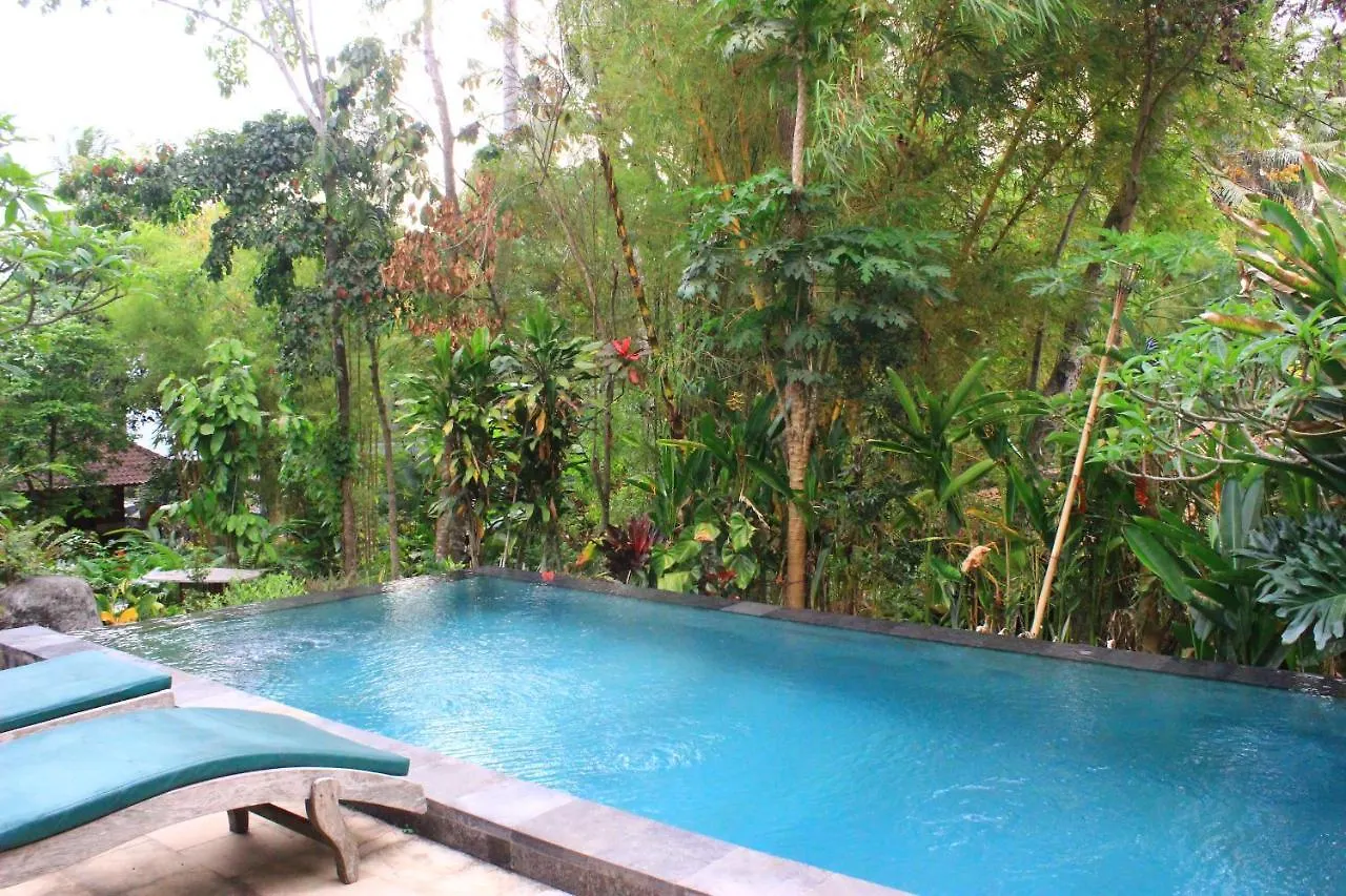 Bed & Breakfast Nyoman Homestay Ubud